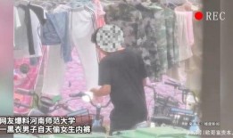 河南爆料女孩视频大全集,揭秘背后真相与争议